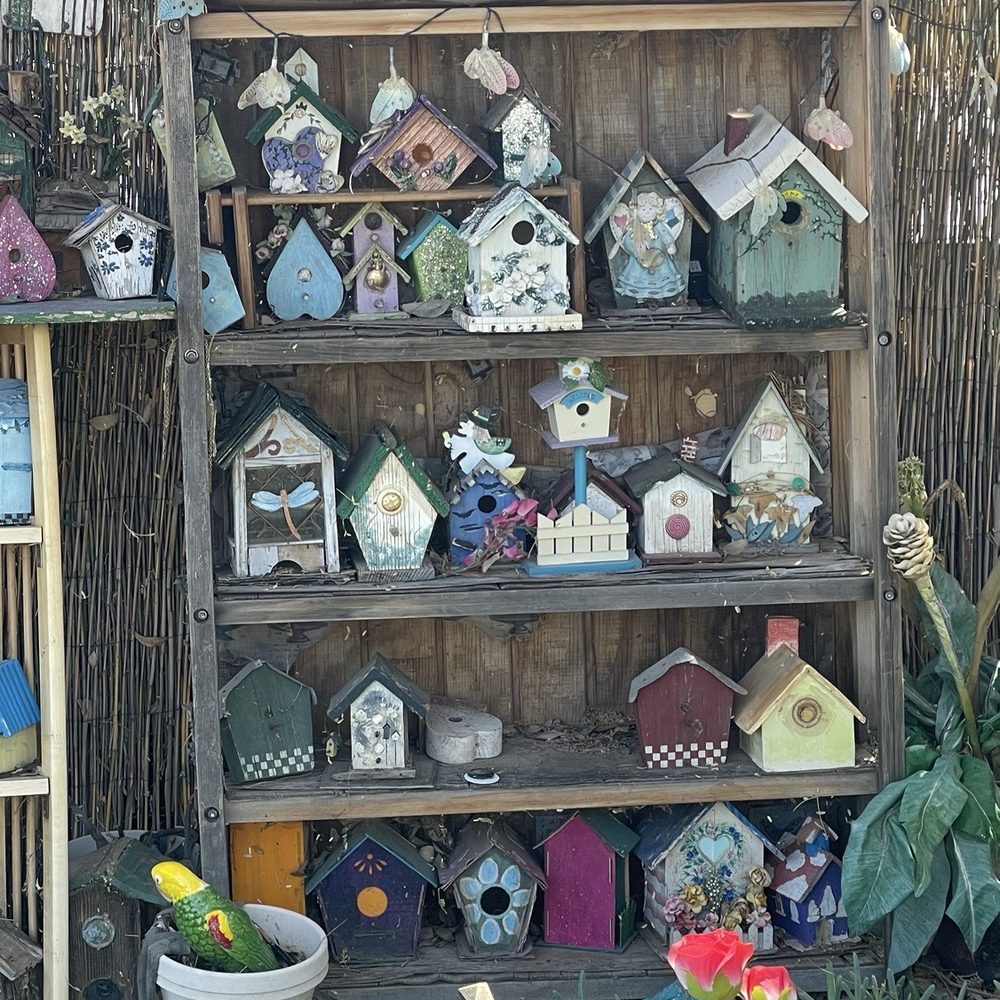 Essence of Tranquility - Bird House Collection - Campgrounds Near Me - Safford, Arizona Essence of Tranquility - Bird House Collection - Campgrounds Near Me - Safford, Arizona