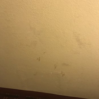 Americas Best Value Inn Canton, MS - All WALLS were dirty.... - Hotels Near Me - Canton, Mississippi