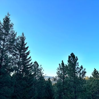 Juniper Lodge & Treehouses - Hotels Near Me - Evergreen, Colorado Juniper Lodge & Treehouses - Hotels Near Me - Evergreen, Colorado