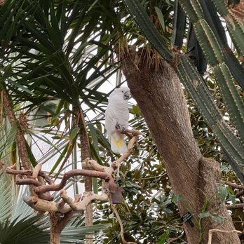 Bloedel Conservatory - Botanical Gardens Near Me - Vancouver, British Columbia