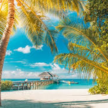 Travel with Daimy - Travel Agents Near Me Travel with Daimy - Travel Agents Near Me