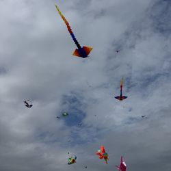 Skyward Kites