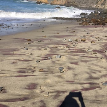 Pfeiffer Beach - Purple sand - Beaches Near Me - Big Sur, California Pfeiffer Beach - Purple sand - Beaches Near Me - Big Sur, California