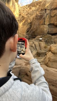 Omaha's Henry Doorly Zoo and Aquarium by null