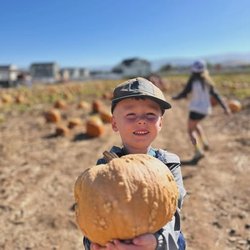Wild Roots Montessori