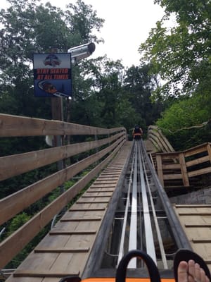 Smoky Mountain Alpine Coaster by null