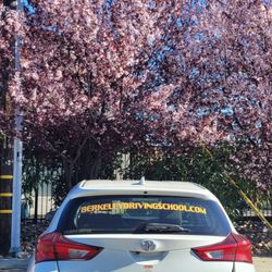Berkeley Driving School