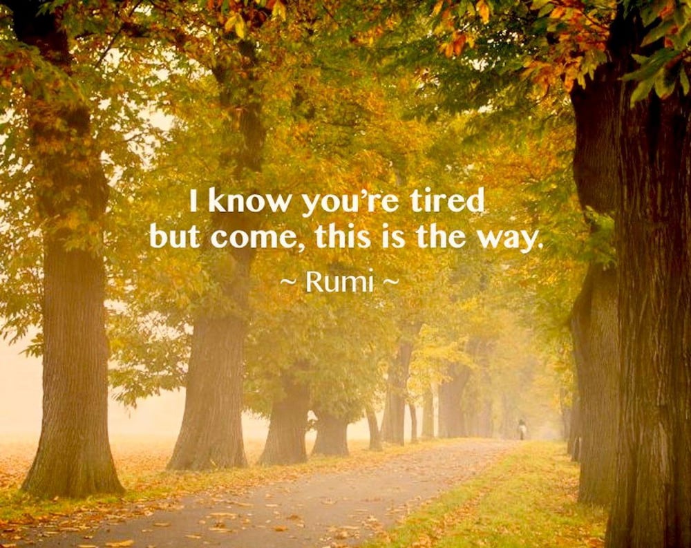 Kalleen Ragan-Pepper, LISW - grief counselor in Cedar Rapids, IA