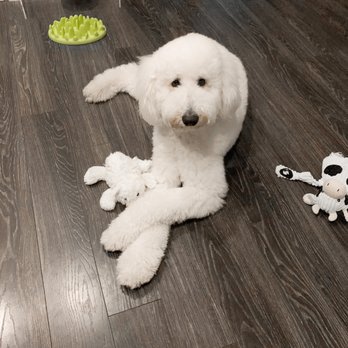 Barkin' Creek - Zilker - Pet Stores Near Me - Austin, Texas Barkin' Creek - Zilker - Pet Stores Near Me - Austin, Texas