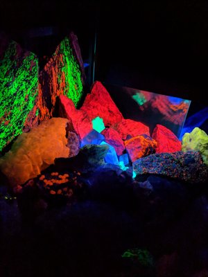 Electric Ladyland - Museum of Fluorescent Art by null