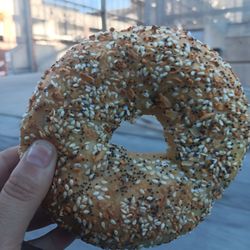 Meshuggah Bagels - Everything Bagel in the city
