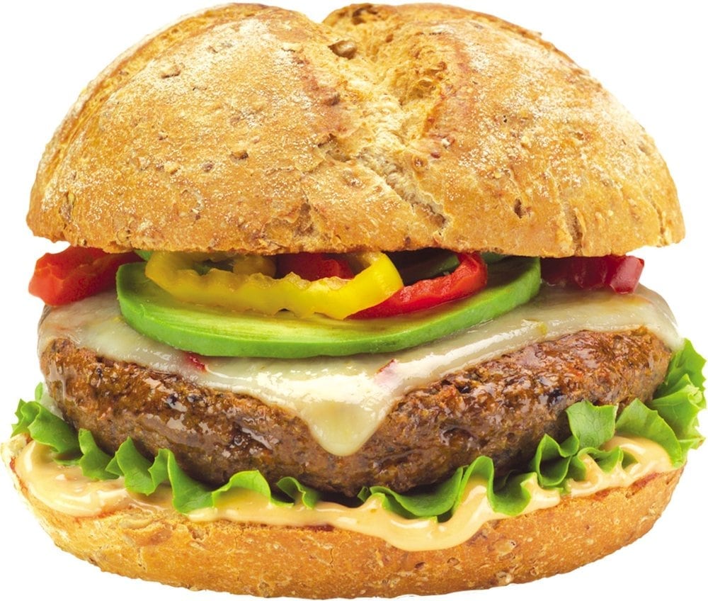 Sunshine Burger & Specialty Company Logo