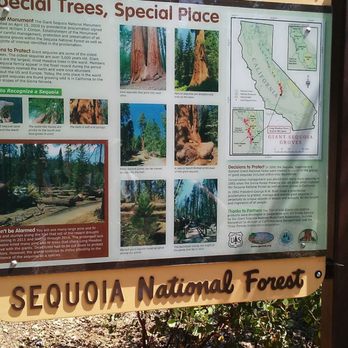 Redwood Meadow Campground - Campgrounds Near Me - Springville, California Redwood Meadow Campground - Campgrounds Near Me - Springville, California