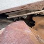 On Point Roofing