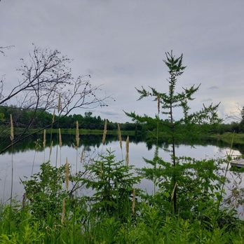 Big Bog State Recreation Area - Parks Near Me Big Bog State Recreation Area - Parks Near Me