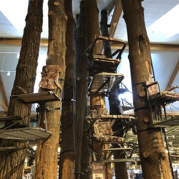 Bass Pro Shops - Tree stand - for hunting deer - Guns & Ammo Near Me - Gurnee, Illinois