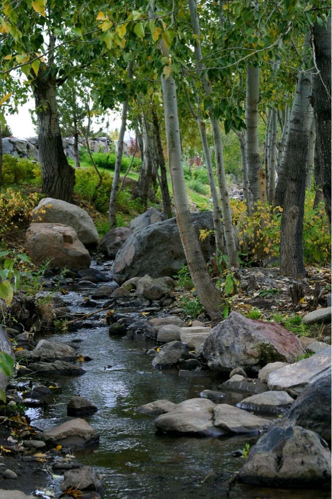 Maplewood Stables - equestrian in Reno, NV
