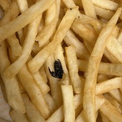 McDonald's - Bug
