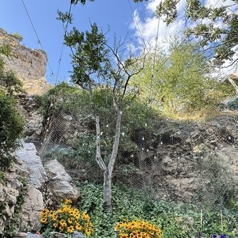 Bisbee Badassery - Looking up from your table, outside. - Salad Near Me - Bisbee, Arizona