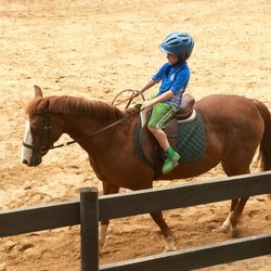 Ellenwood Equestrian Center - Summer camp!
