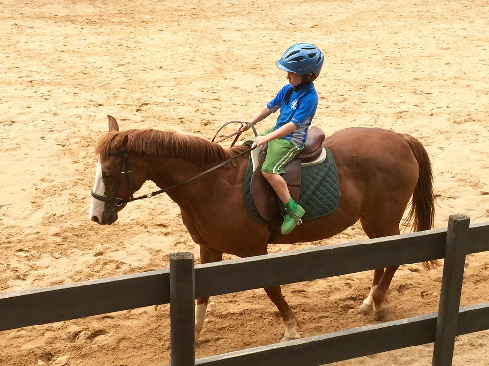 Ellenwood Equestrian Center - equestrian in Ellenwood, GA