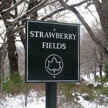 Central Park Conservancy - feb 2010 - Parks Near Me - New York, New York Central Park Conservancy - feb 2010 - Parks Near Me - New York, New York