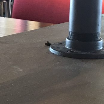 Smokey Bones - Large fly or cockroach..hard to tell it was dried up! - Barbeque Near Me - Orlando, Florida Smokey Bones - Large fly or cockroach..hard to tell it was dried up! - Barbeque Near Me - Orlando, Florida