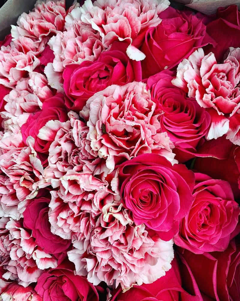 THE ROOTED ROSE Request Information Alpharetta, Florists