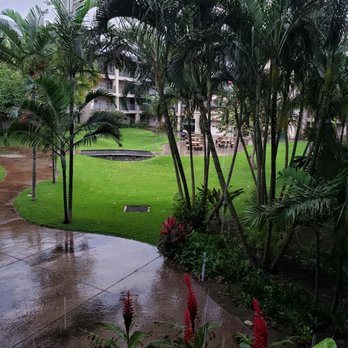 Waterfront Aparments at Kahului - This is the courtyard view from my apartment - Apartments Near Me - Kahului, Hawaii Waterfront Aparments at Kahului - This is the courtyard view from my apartment - Apartments Near Me - Kahului, Hawaii