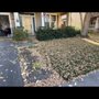 Cultivated Lives Landscaping