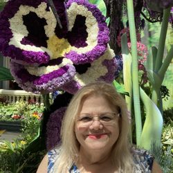 Janet Trost Law Firm - At the Bellagio Conservatory