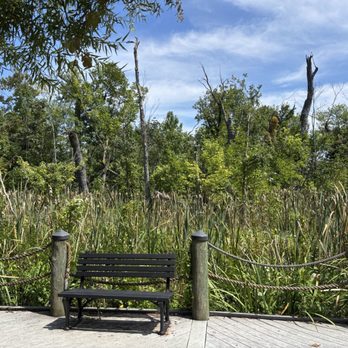 Theodore Roosevelt Island - Trails - Parks Near Me Theodore Roosevelt Island - Trails - Parks Near Me