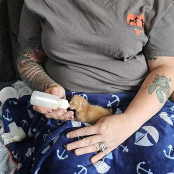 Second Hand Hearts Animal Care and Support - Pet Sitting Near Me - Staunton, Virginia Second Hand Hearts Animal Care and Support - Pet Sitting Near Me - Staunton, Virginia