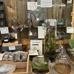 Incahoots - Terrariums and supplies