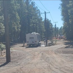 The one spot with a road on both sides and a pole instead of a tree in the middle of a forest The one spot with a road on both sides and a pole instead of a tree in the middle of a forest