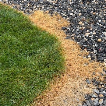 Weed Man - The image shows a transition from green grass to dry brown grass, with gravel in the background. - Pest Control Near Me - Centennial, Colorado