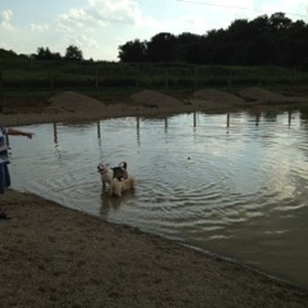 Walnut Woods Dog Park - This is the pond in the back of the big dog area! My dogs loved it!!! - Dog Parks Near Me - Groveport, Ohio Walnut Woods Dog Park - This is the pond in the back of the big dog area! My dogs loved it!!! - Dog Parks Near Me - Groveport, Ohio