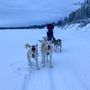 Photo of Muktuk Adventures