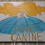 Photo of Joshica's Planet Canine