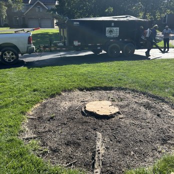 Acres Tree Service - This tree had the ash bore and needed to be cut down. They are coming back in a couple days to stop grind. - Tree Services Near Me - Cincinnati, Ohio Acres Tree Service - This tree had the ash bore and needed to be cut down. They are coming back in a couple days to stop grind. - Tree Services Near Me - Cincinnati, Ohio