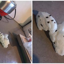 Rodents droppings on the kitchen countertop