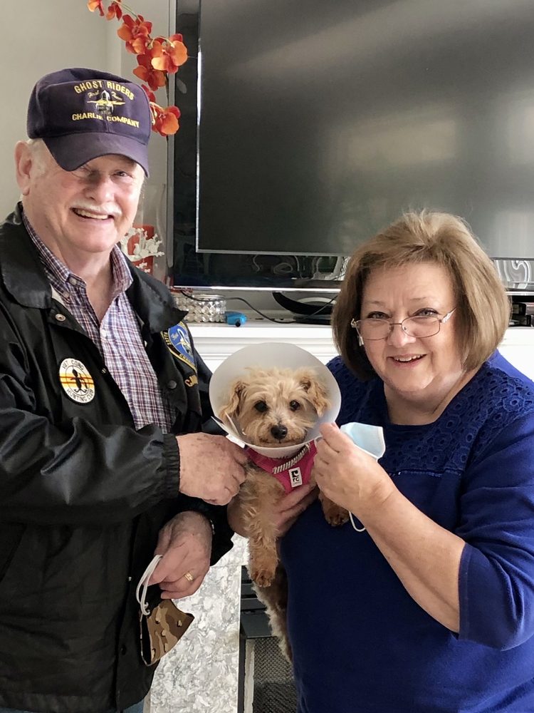 NC YORKIE RESCUE 33 Photos & 10 Reviews Greensboro, North Carolina