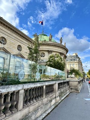 Seine by null