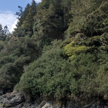 Moonstone Beach - Moonstone Beach - Beaches Near Me - Trinidad, California Moonstone Beach - Moonstone Beach - Beaches Near Me - Trinidad, California