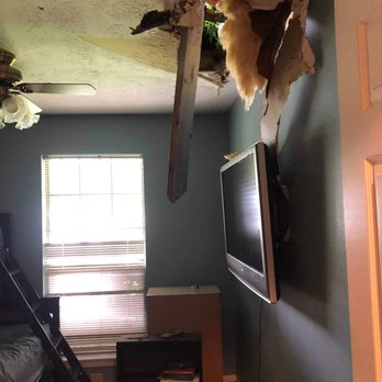 Texas Cowboy’s Tree Service - Tree Services Near Me - Dickinson, Texas Texas Cowboy’s Tree Service - Tree Services Near Me - Dickinson, Texas