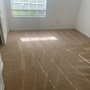 Photo of Regal Carpet Cleaning