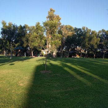 Blue Gum Park - Parks Near Me - Irvine, California