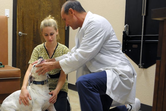 Metzler Veterinary Hospital Image