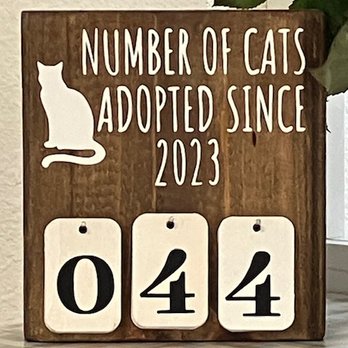 Kitty Cat Lounge - How wonderful! - Coffee & Tea Near Me - Lakeland, Florida