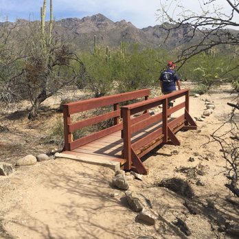 Sabino Canyon - Parks Near Me - Tucson, Arizona